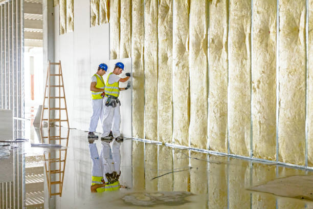 Best Blown-in Insulation  in Great River, NY